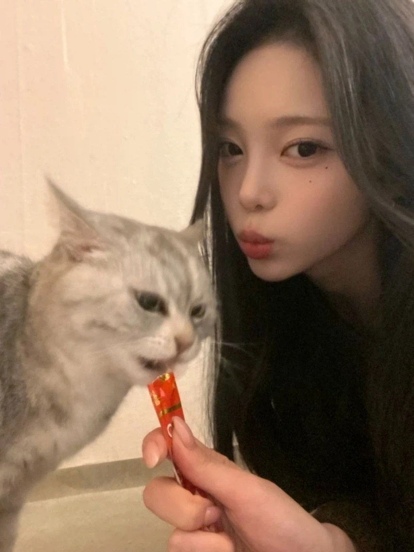 츄르 먹다 뺏긴 고양이_1.webp