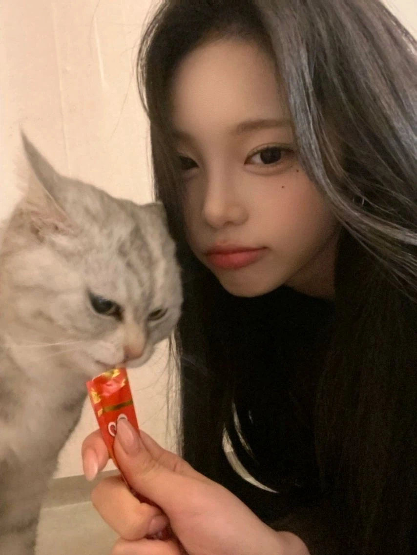 츄르 먹다 뺏긴 고양이_2.webp