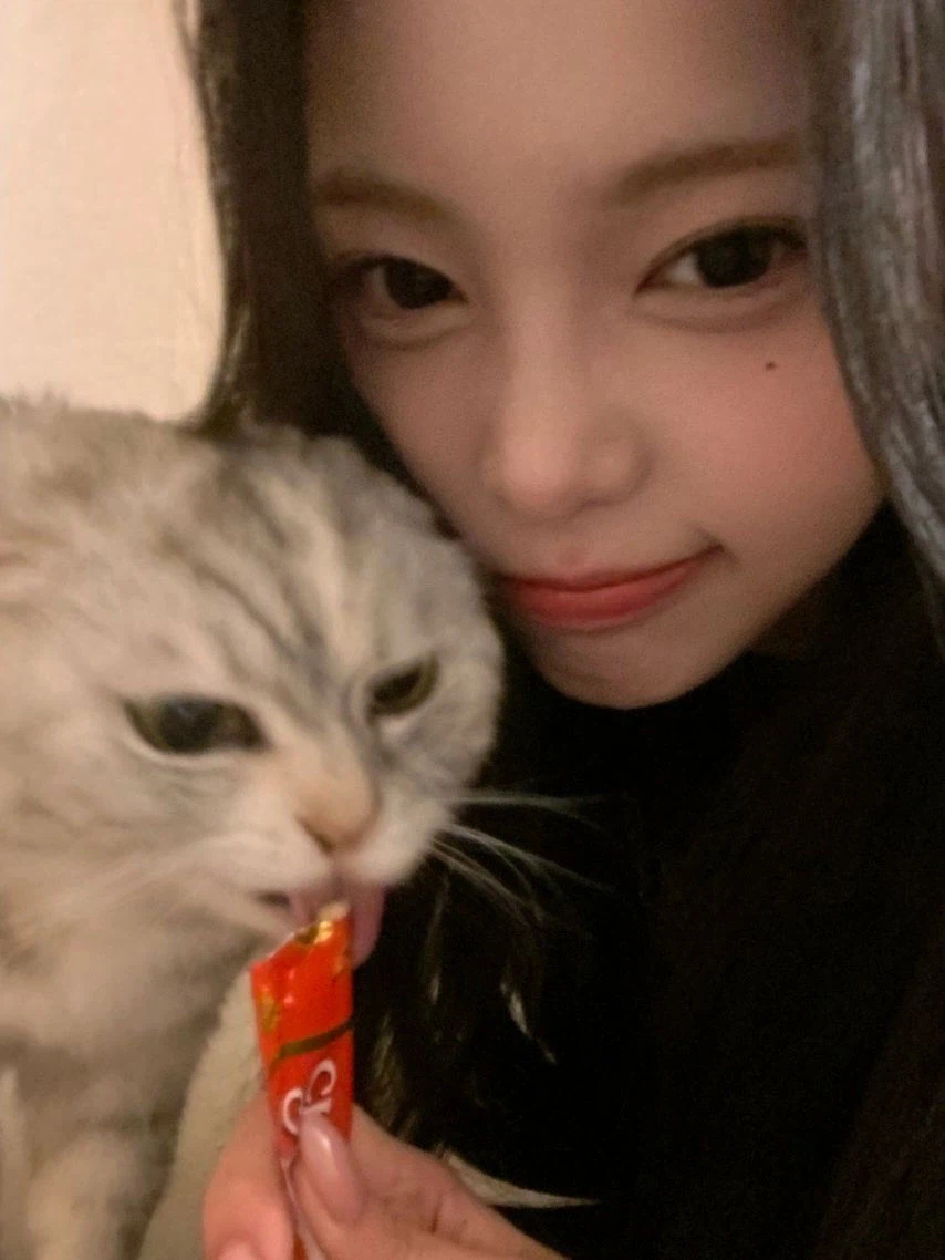 츄르 먹다 뺏긴 고양이_3.webp