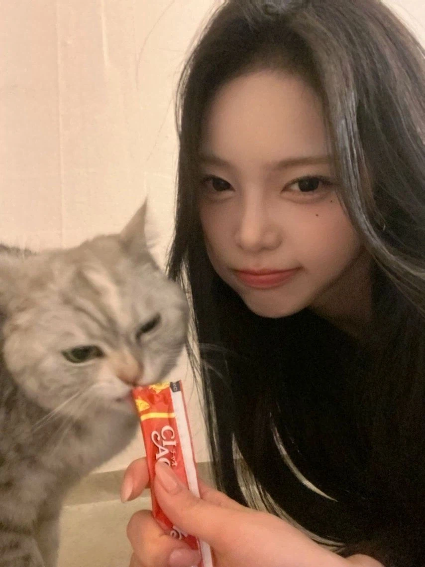 츄르 먹다 뺏긴 고양이_4.webp