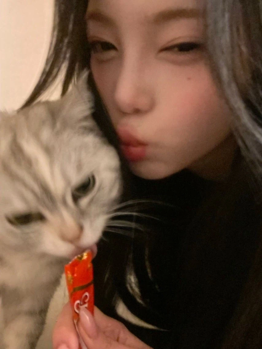 츄르 먹다 뺏긴 고양이_5.webp