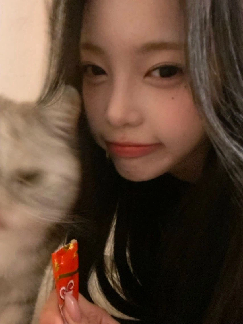 츄르 먹다 뺏긴 고양이_8.webp