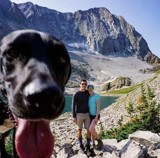 사진 찍는데 방해하는 동물들 모음 jpg._3.webp