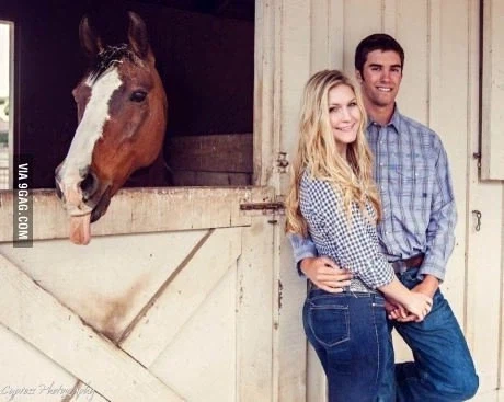 사진 찍는데 방해하는 동물들 모음 jpg._4.webp