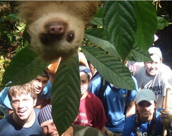 사진 찍는데 방해하는 동물들 모음 jpg._7.webp