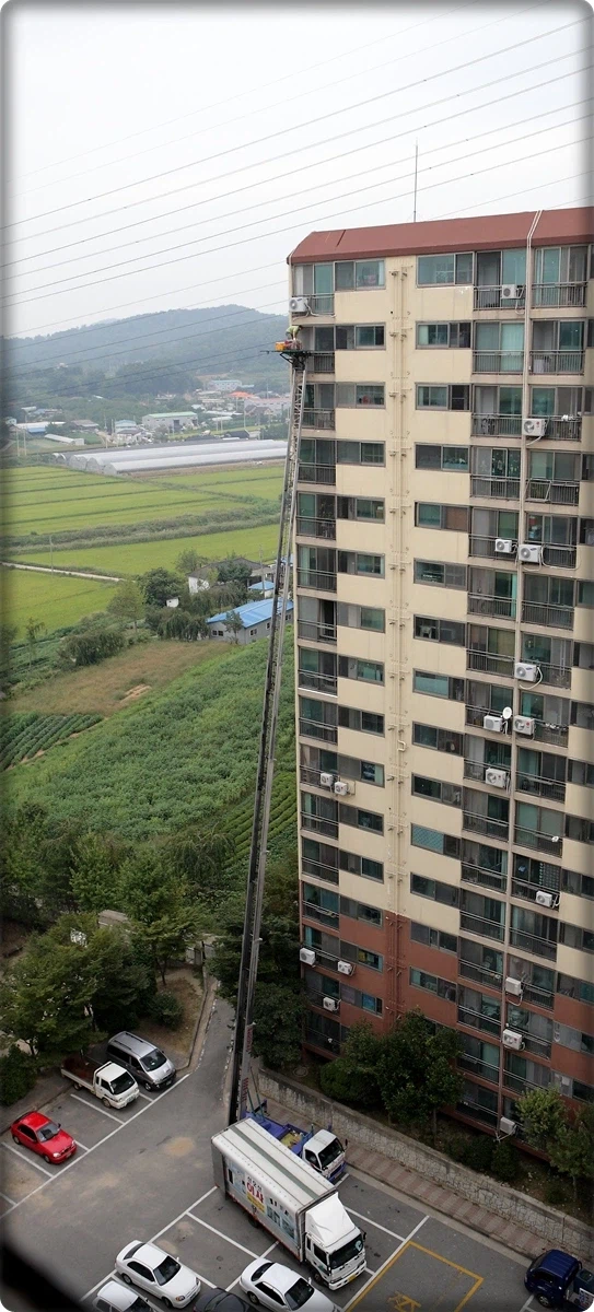 이사의 달인.jpg_2.webp