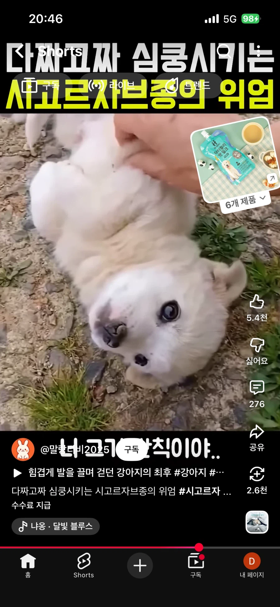 유튜브 시발 새끼야_1.webp