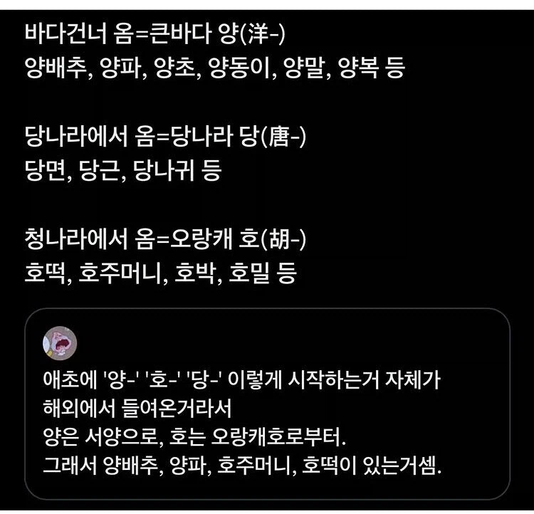 기원과 건너온 시대를 설명해주는 단어들_1.webp