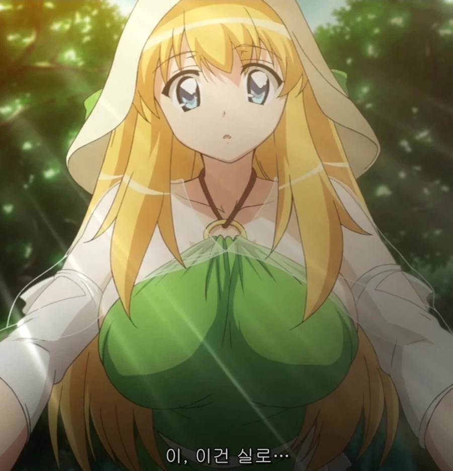 옛날에는 폭유로 분류되던 캐릭터.jpg_3.webp