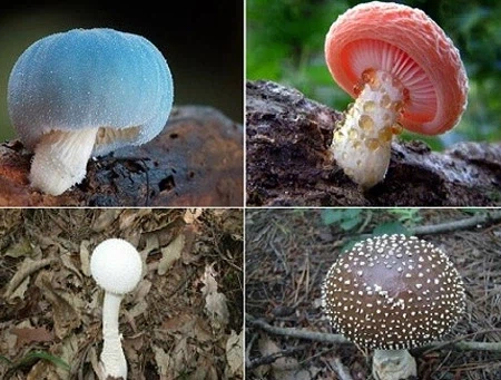 아마 수렵시절에는 ADHD가 엄청많았을거임_1.webp