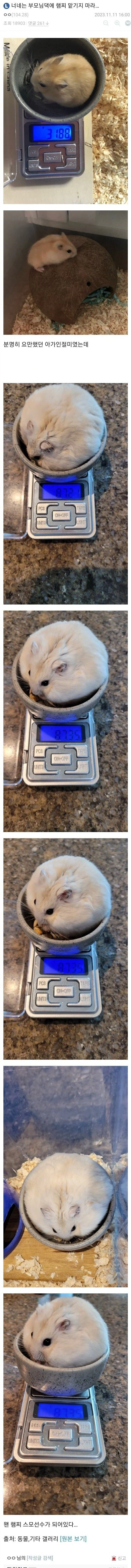 너네는 부모님댁에 햄찌 맡기지 마라_1.webp