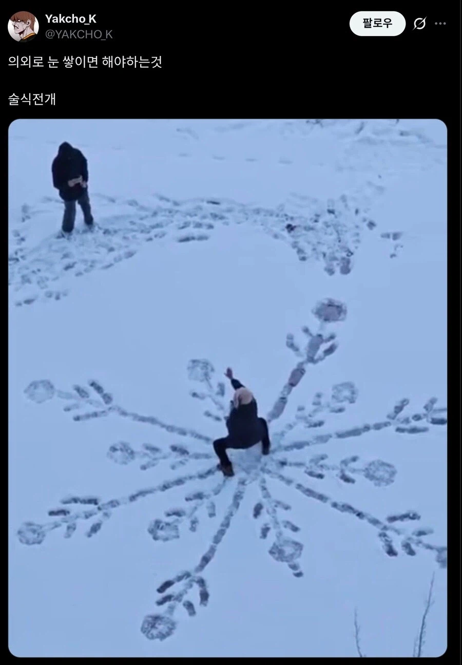 눈 쌓이면 해야하는 것.jpg_1.webp