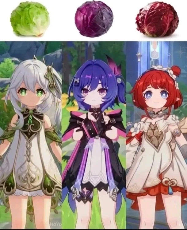 호요버스 3대 양배추_1.webp