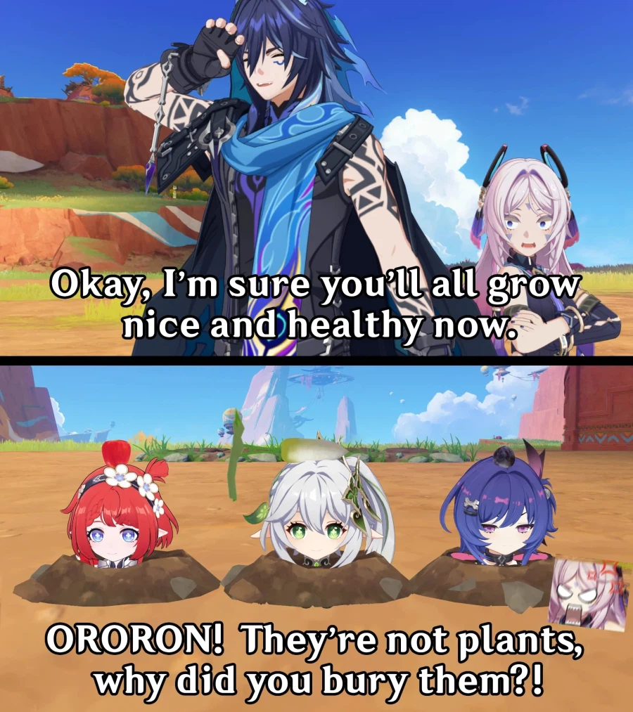 호요버스 3대 양배추_3.webp