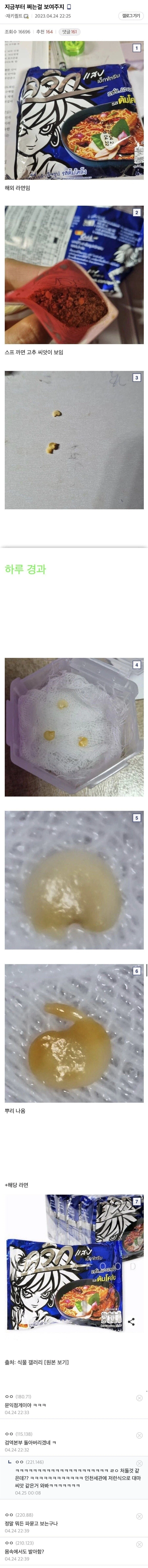 식물갤에 나타난 문익점+정정글_1.webp