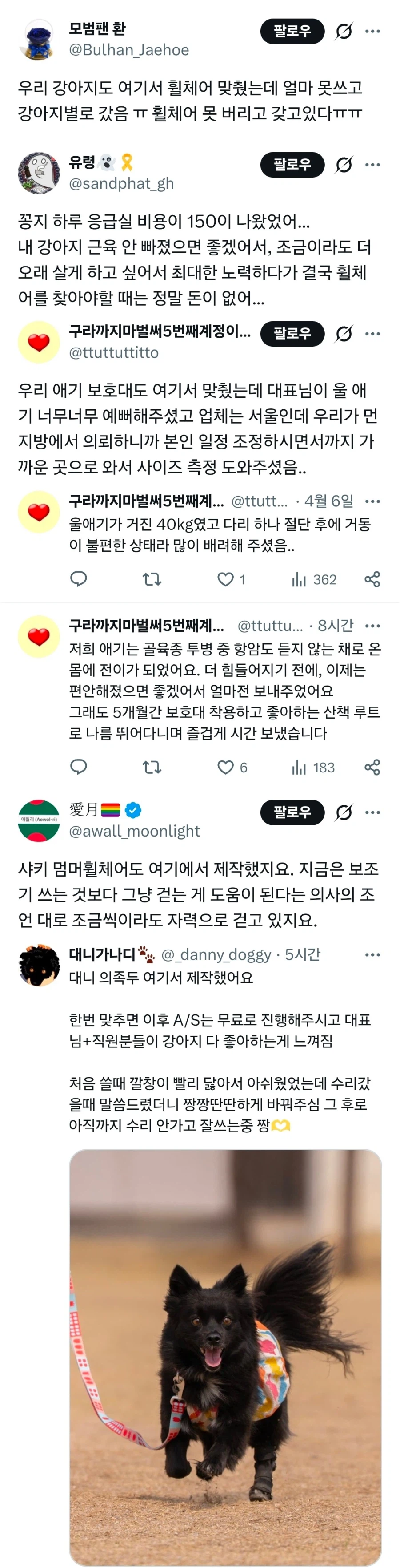 강아지 휠체어가 이렇게까지 저렴한 이유_3.webp