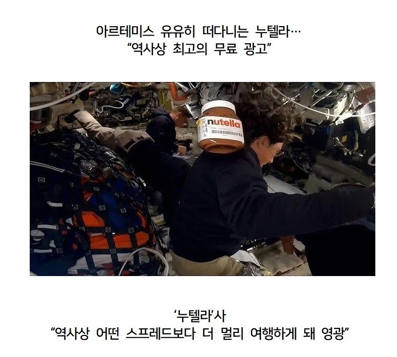 아르테미스 유유히 떠다니는 누텔라.jpg_1.webp