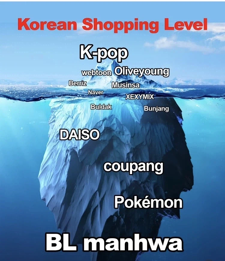 뭔가 큰 오해를 하고 있는 한국 쇼핑 밈_1.webp