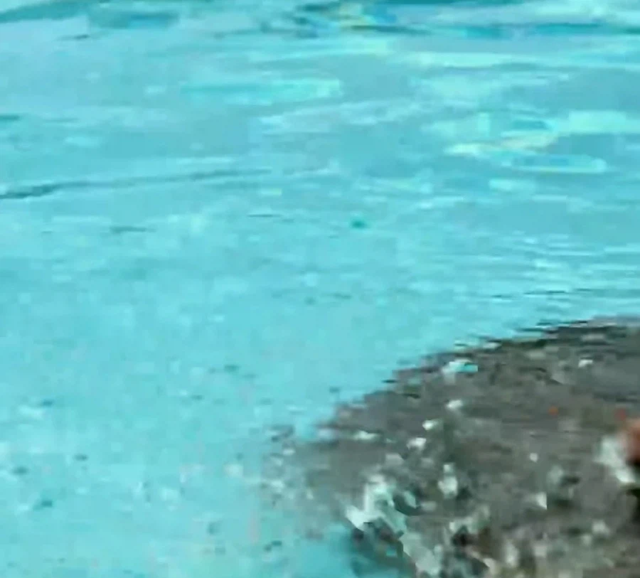 영화) 다시보면 서글픈