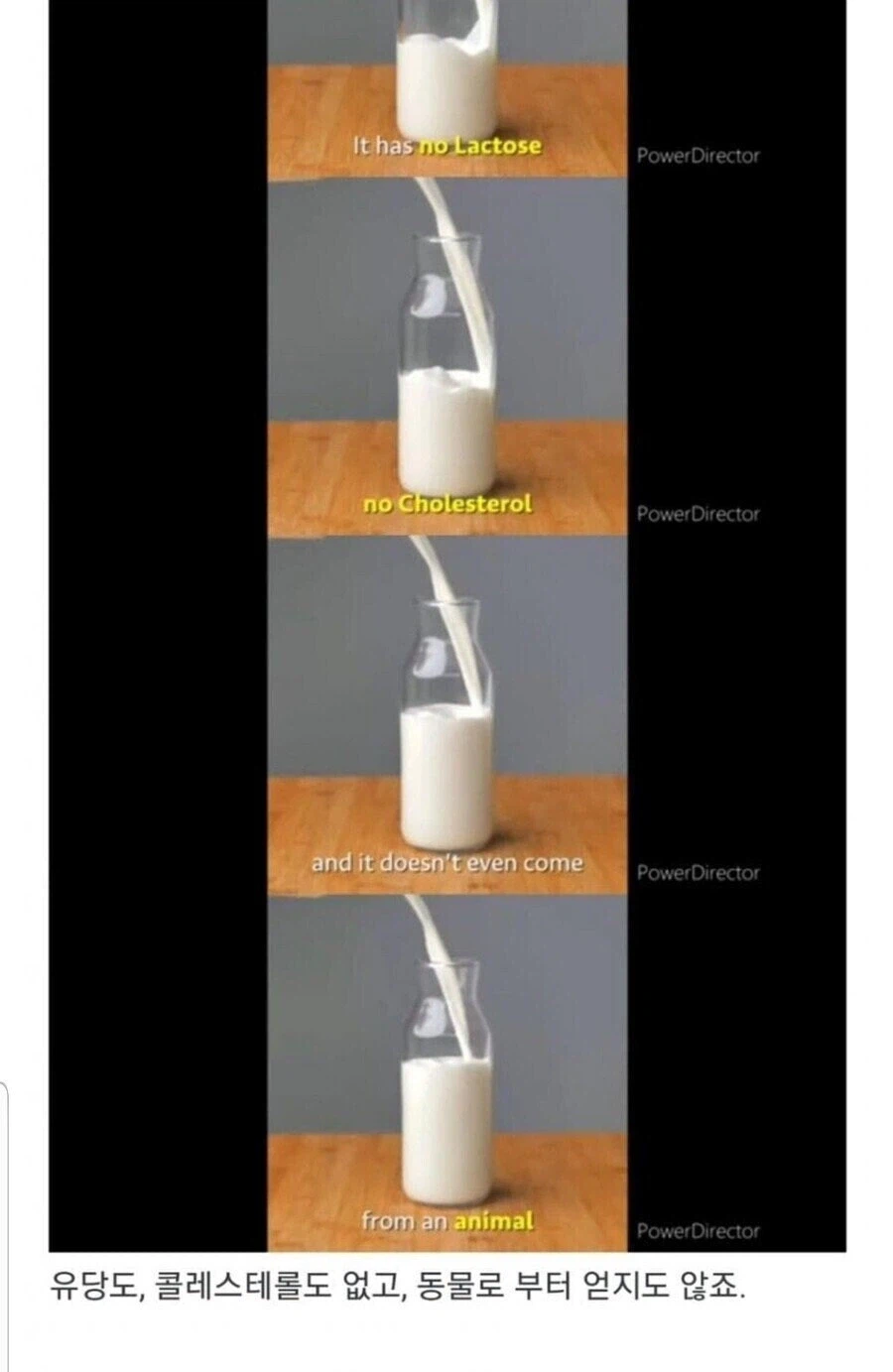 호모들한테서 뽑아낸 깨끗한 우유.jpg_2.webp