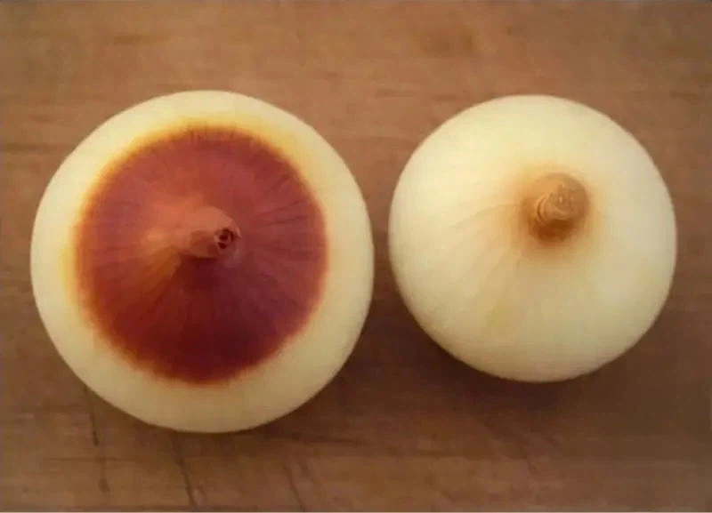 은근히 크게 갈리는 취향_1.webp