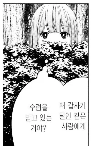 프리렌)슈타르크 특.jpg_6.webp