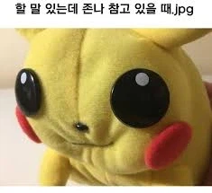 진짜 개욕나오네ㅋㅋ_3.webp