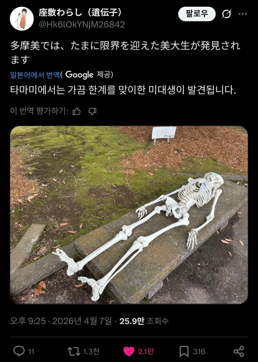 일본 미술대학이 위험천만한 곳인 이유.twit_1.webp
