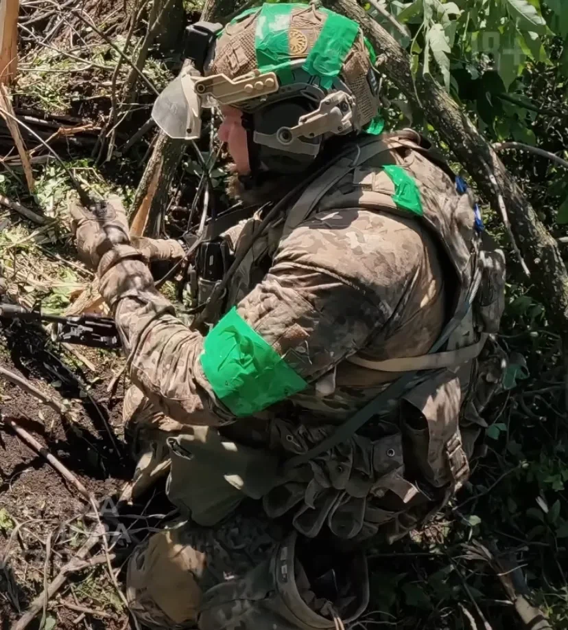 너도 나도 비슷한 위장무늬 쓰니 생긴 현상_1.webp