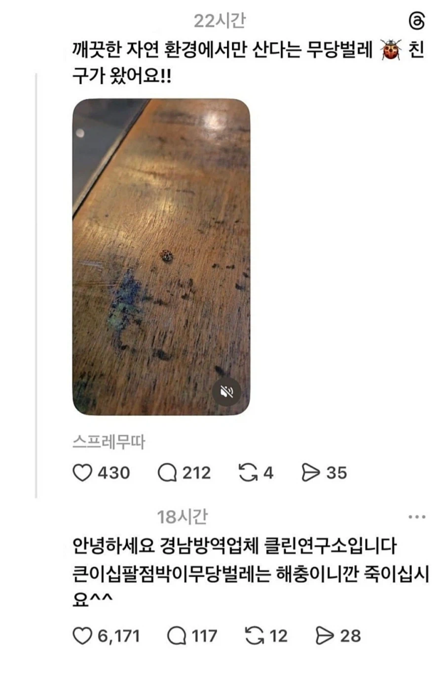 절친을 죽이라는 지령을 받은 사람.jpg_1.webp