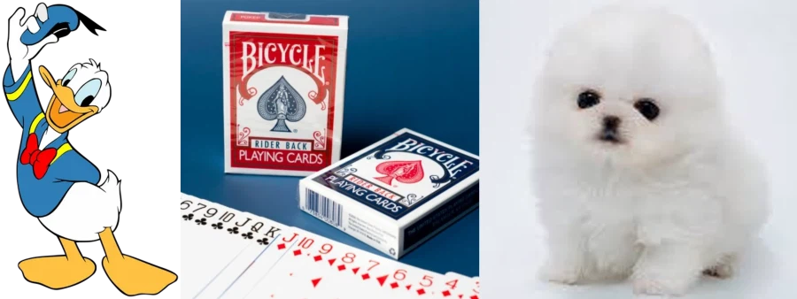 국제 정세 요약_1.webp