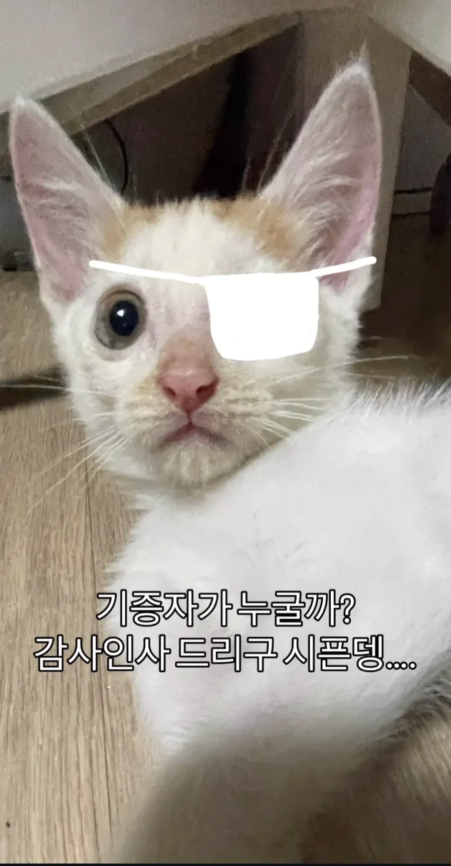 형아! 나 드디어 눈 기증 받게 됐대!_3.webp