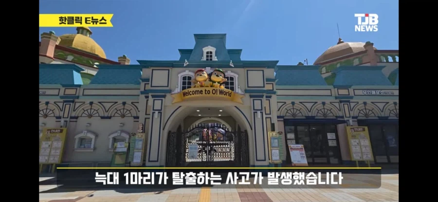 대전 동물원 늑대 탈출함_1.webp