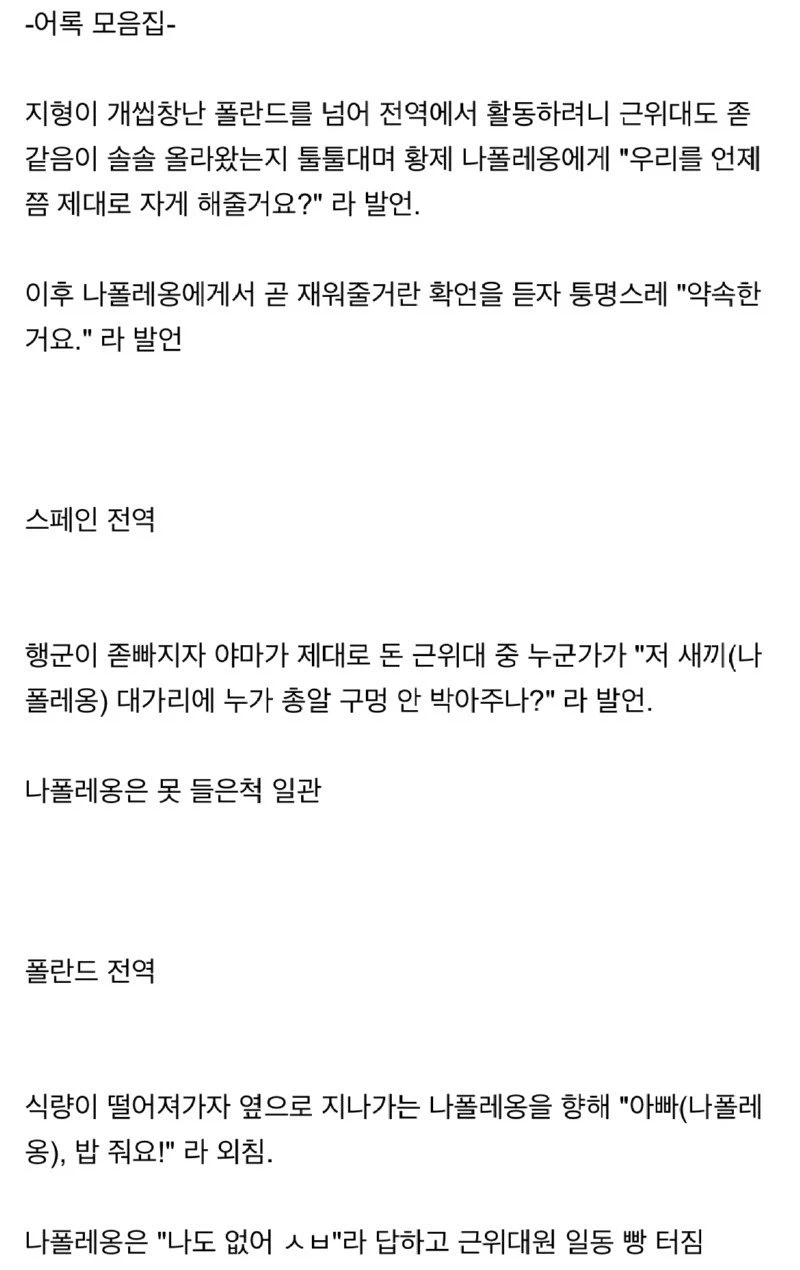 프랑스 나폴레옹 근위대의 위엄 jpg._4.webp