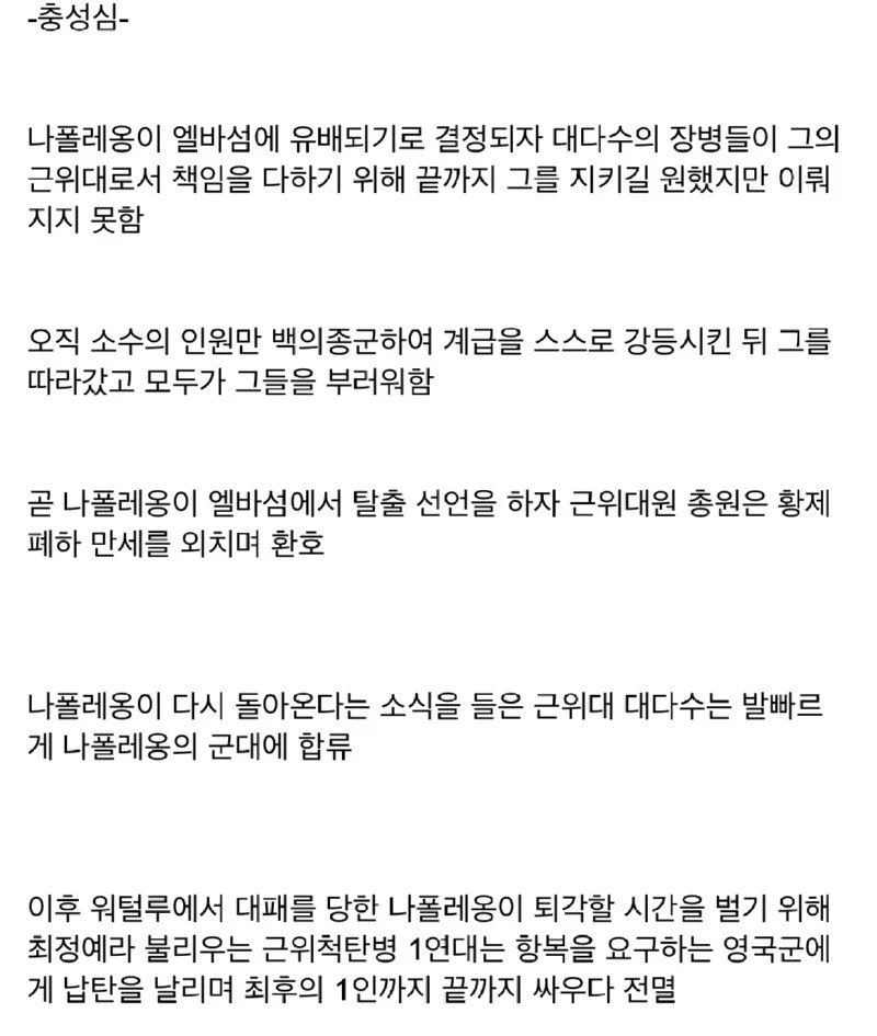 프랑스 나폴레옹 근위대의 위엄 jpg._6.webp