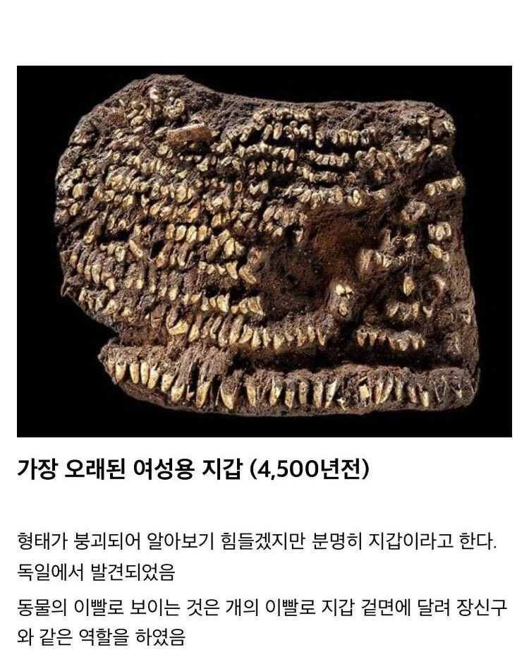 가장 오래된 물건들 jpg._3.webp