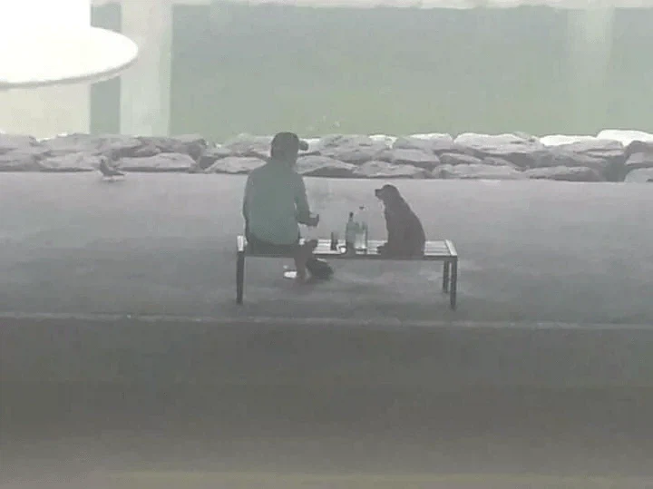 대한민국 역대 퓰리쳐상 후보들.jpg_9.webp