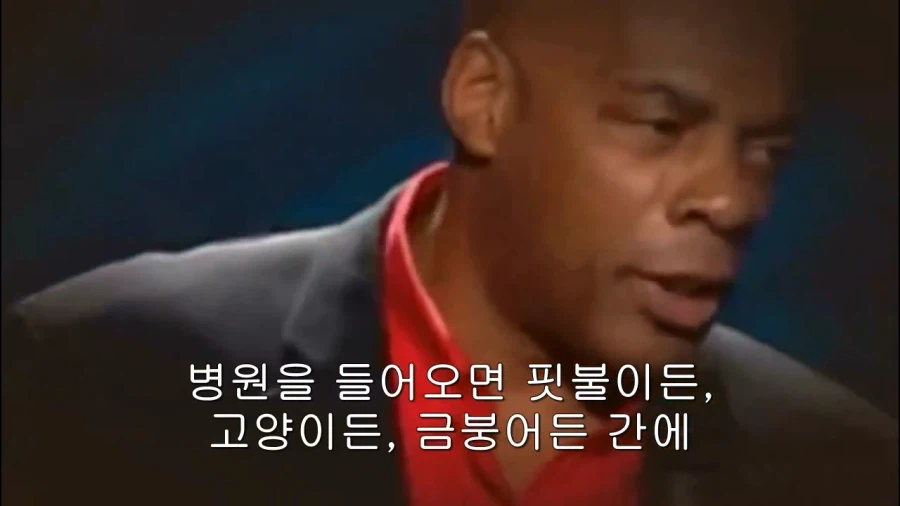 의사보다 수의사가 나은 이유 ㅋㅋㅋㅋㅋㅋㅋㅋ_19.webp