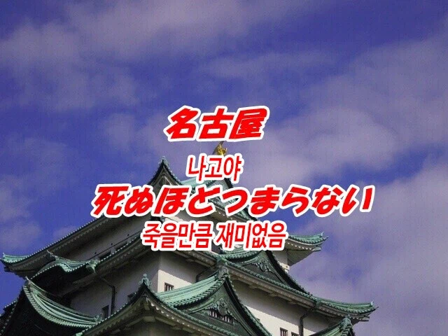 대전 노잼도시 드립의 진실_6.webp