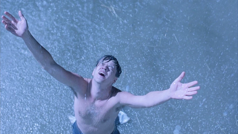 대전 늑대 탈출이...땅굴파서?_3.webp