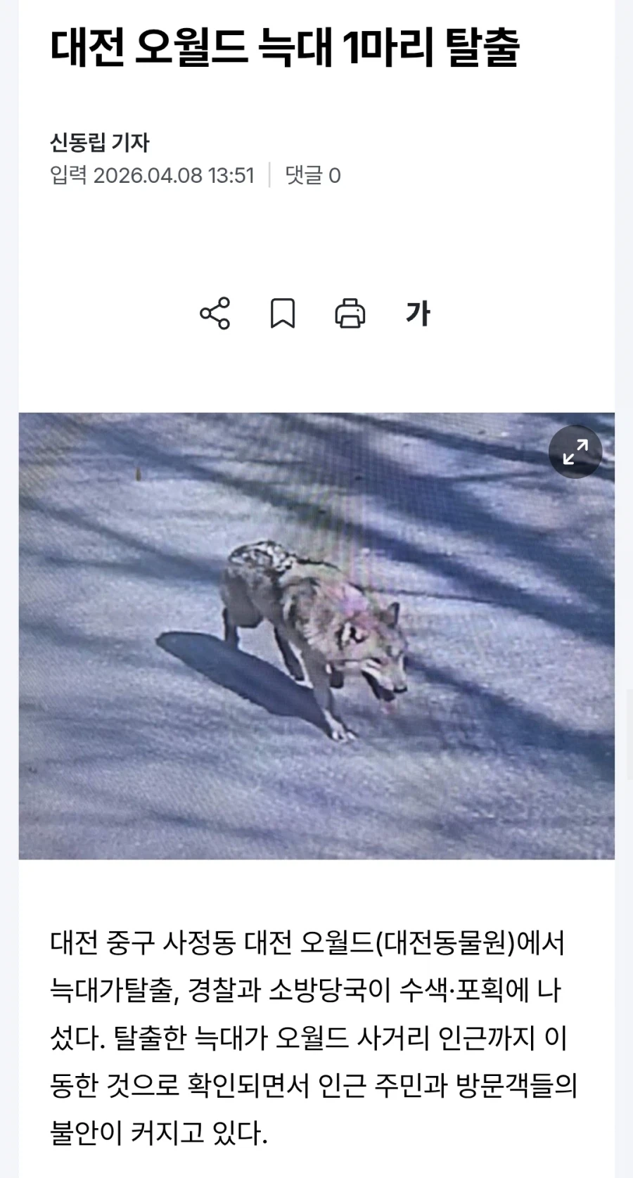 ?? : 1살짜리 늑대가 탈출 했다고? 귀엽겠네~_2.webp