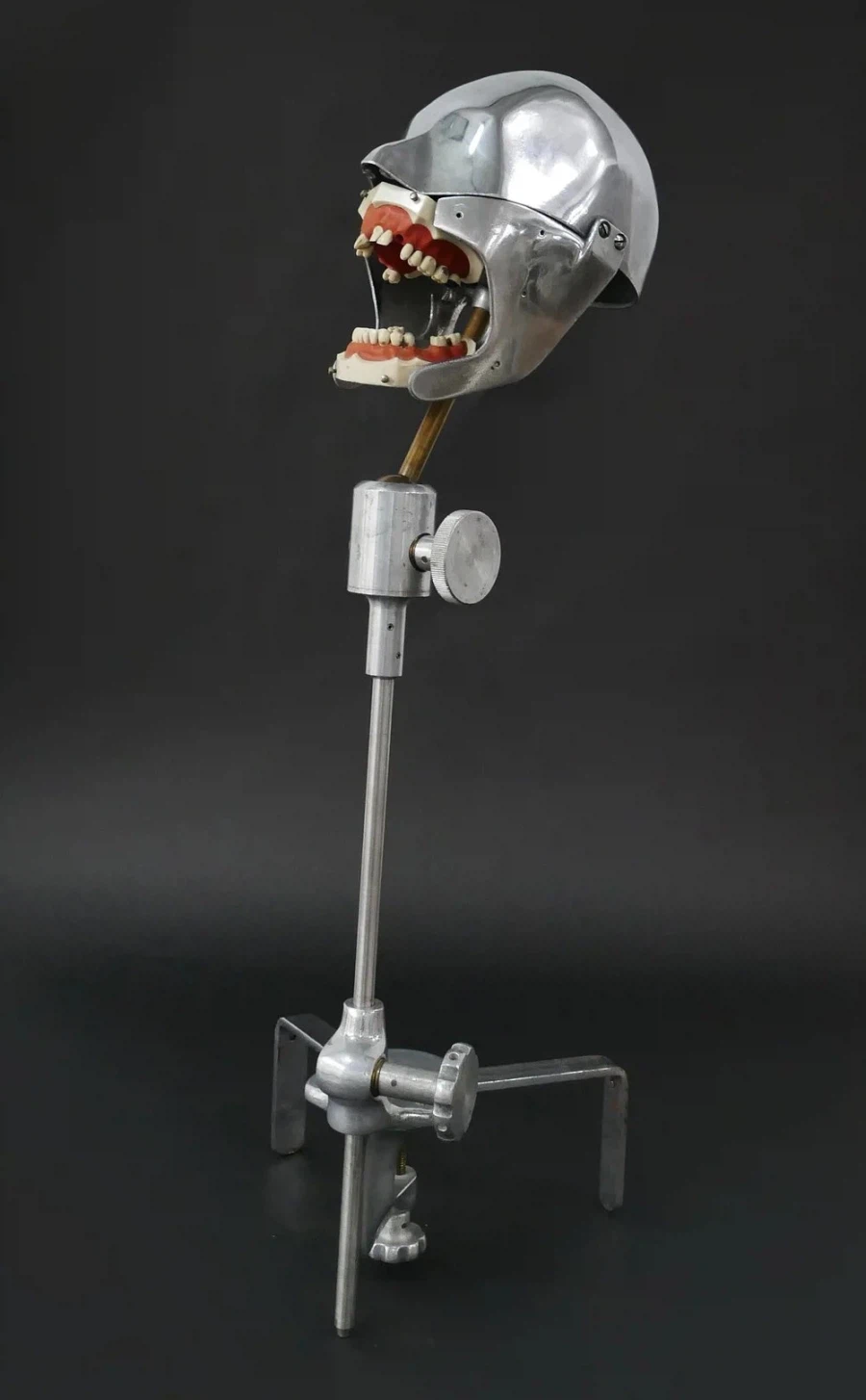 치대생들이 인간성을 상실하는 과정_4.webp