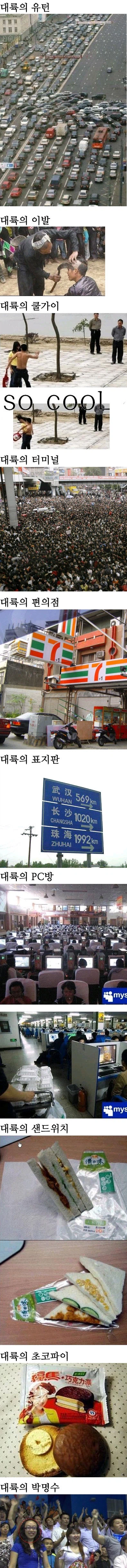 중국이 친근한 동내 바보형같은 이웃일무렵 개그_2.webp