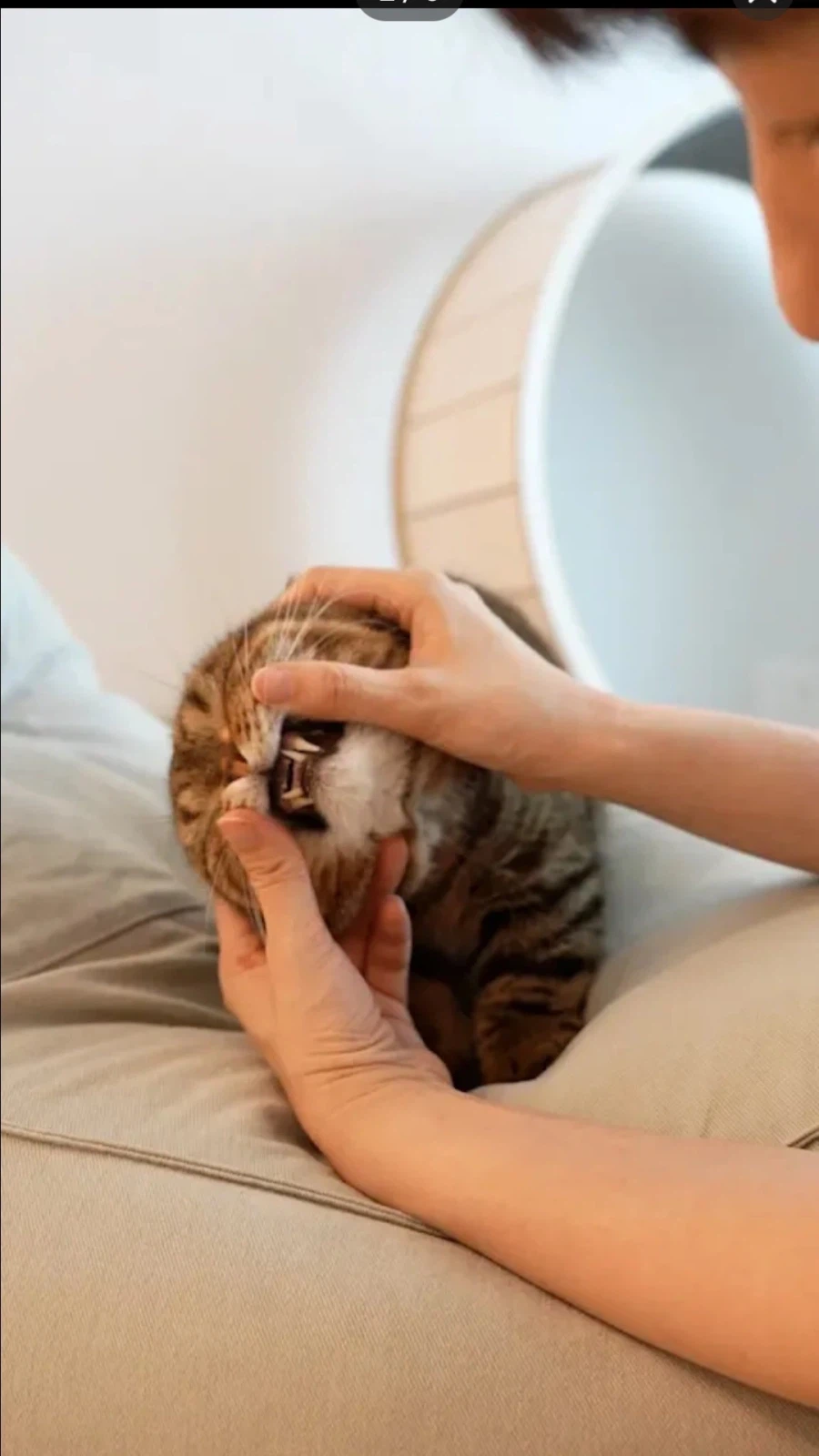 트릭컬) 사진 옮겨 그리기_4.webp