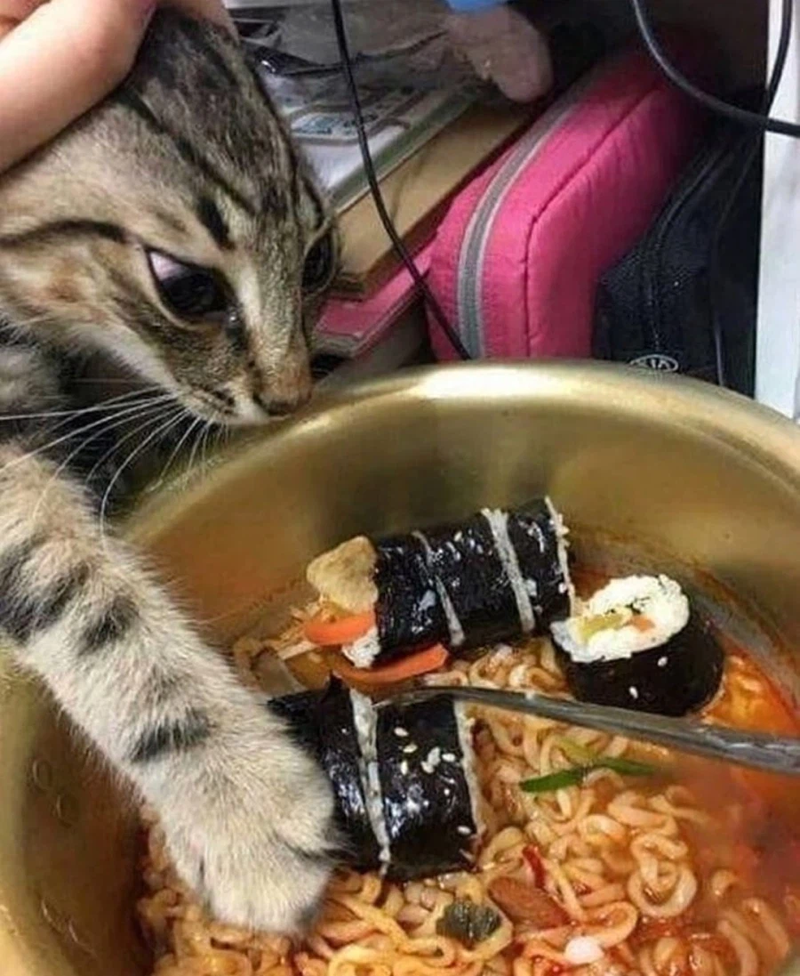 트릭컬) 사진 옮겨 그리기_6.webp