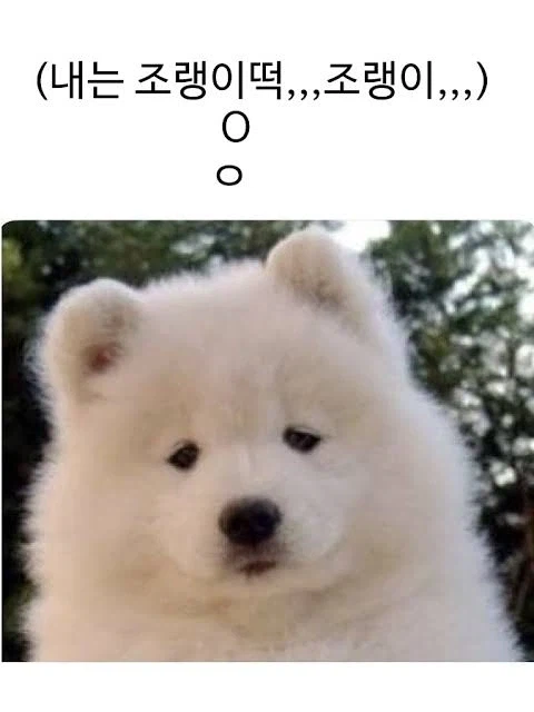 트릭컬) 사진 옮겨 그리기_12.webp