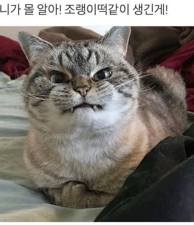 트릭컬) 사진 옮겨 그리기_14.webp