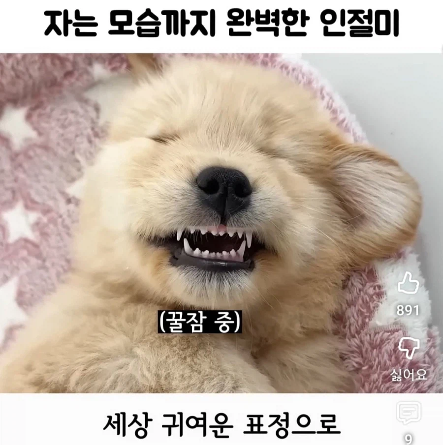 트릭컬) 사진 옮겨 그리기_20.webp