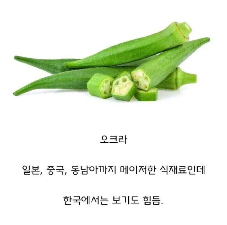 한국에서만 안 먹는 찐득찐득한 액이 나오는 오크 고추_1.webp