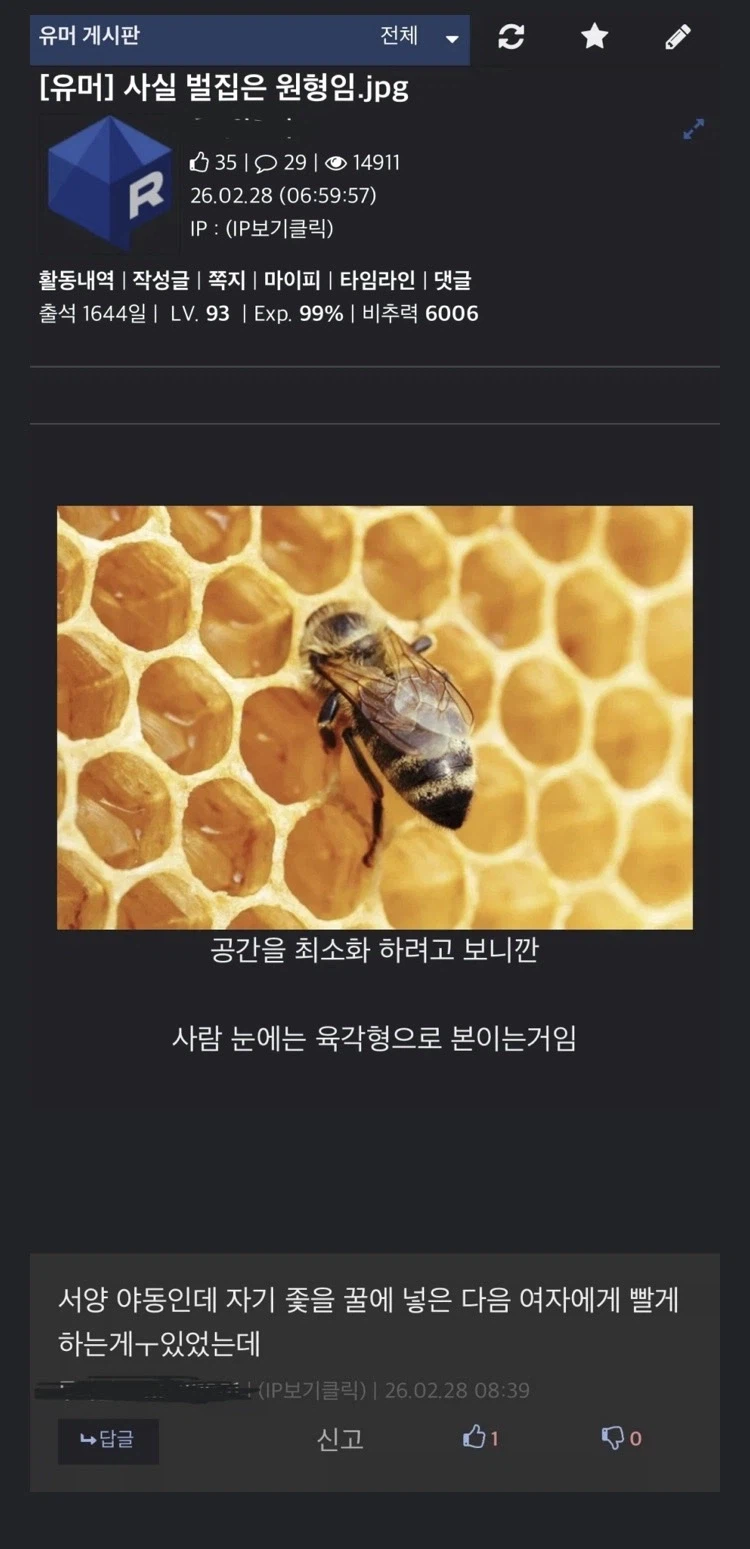 벌집 얘기 하는데 혼자 다른소리 하는 디시인.dc_1.webp